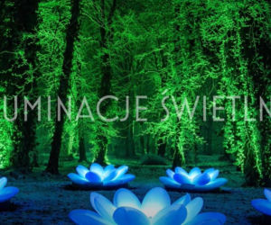 Festiwal Kalejdoskop