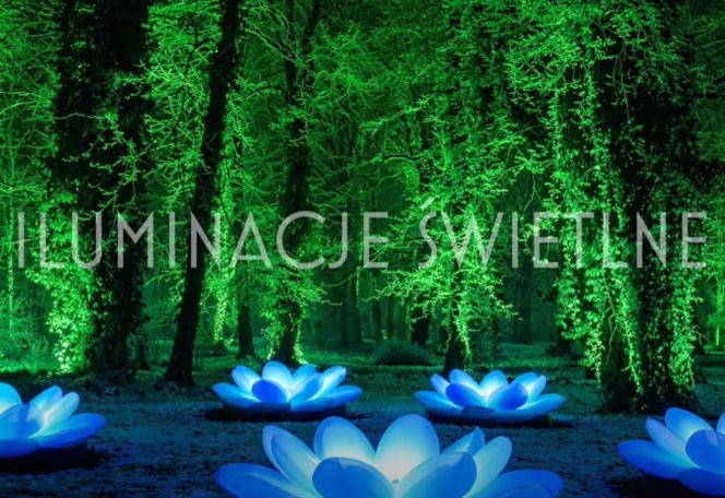 Festiwal Kalejdoskop