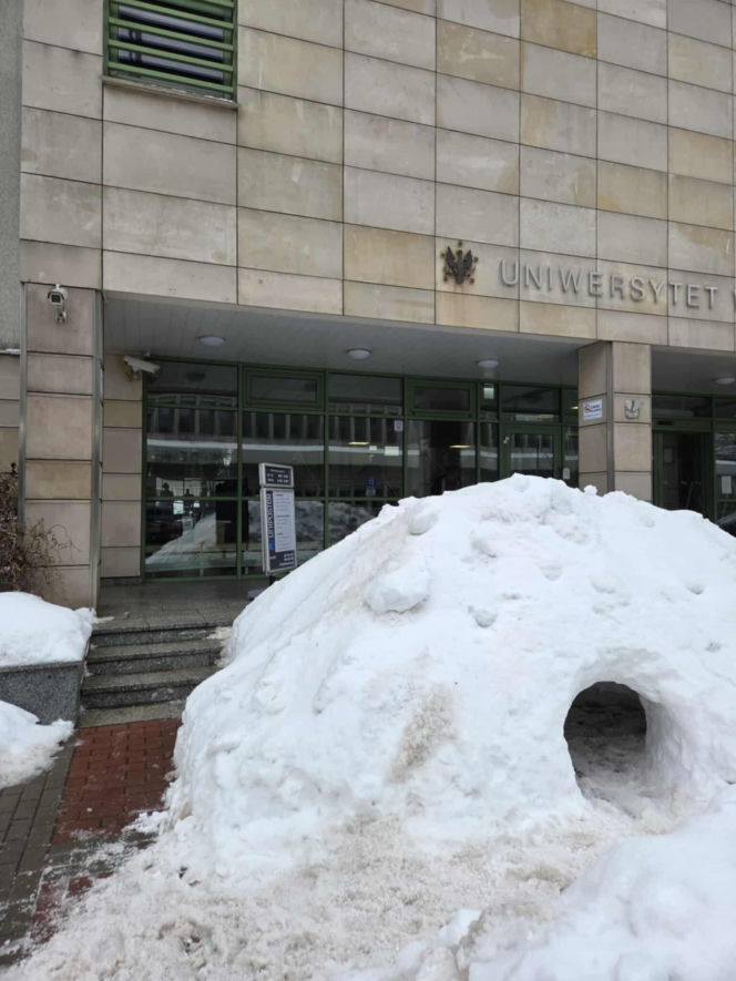 Igloo powstało przed wejściem na Wydział Biologii UW - zima 2026