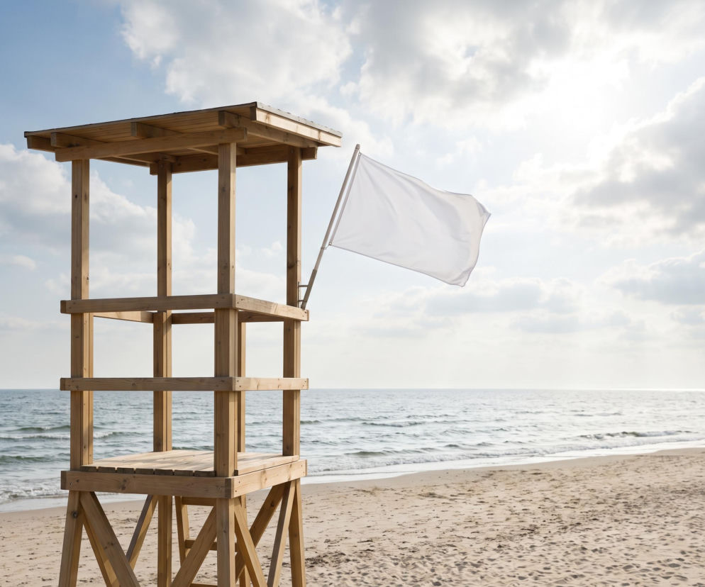 Sinice Gdynia 17.07. Czy w Gdyni można się dzisiaj kąpać? Flaga, warunki pogodowe