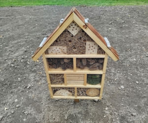 Park kieszonkowy przy ul. Żytniej w Siedlcach