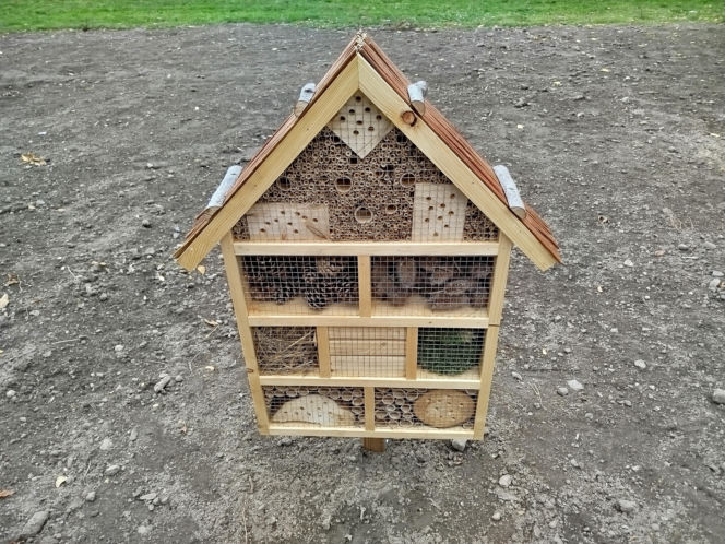 Park kieszonkowy przy ul. Żytniej w Siedlcach