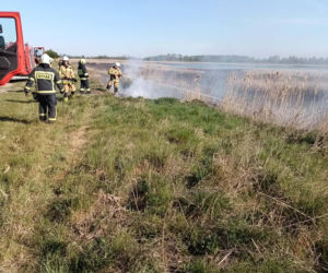 Pożar trzcinowisk pod Łukowem