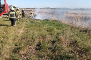 Pożar trzcinowisk pod Łukowem