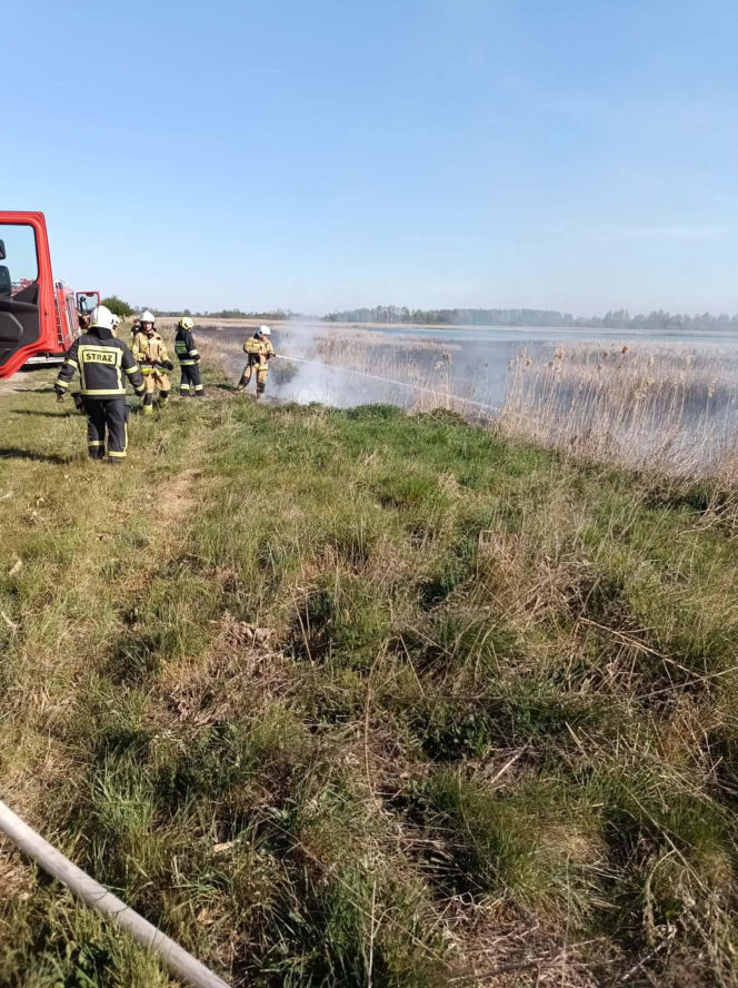 Pożar trzcinowisk pod Łukowem