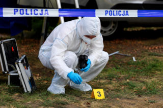 Brutalne morderstwo w lesie. Kobieta wyszła na spacer z psem i nie wróciła