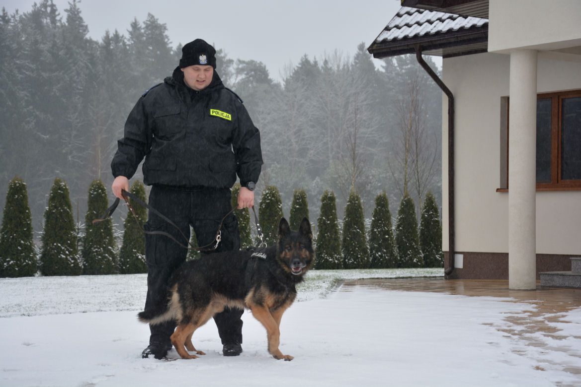 Tazer, policjant na 4 łapach, przeszedł na emeryturę