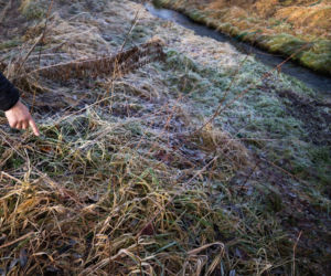 Zabójstwo 11-latki w Jeleniej Górze