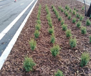 Toruń: Trwają prace na placu Rapackiego. Sprawdzamy postępy