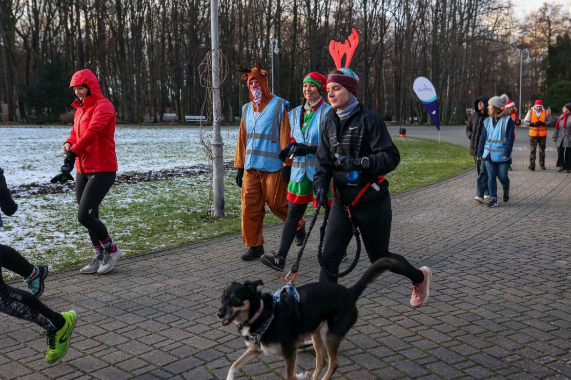 Parkrun Katowice w Parku Kościuszki