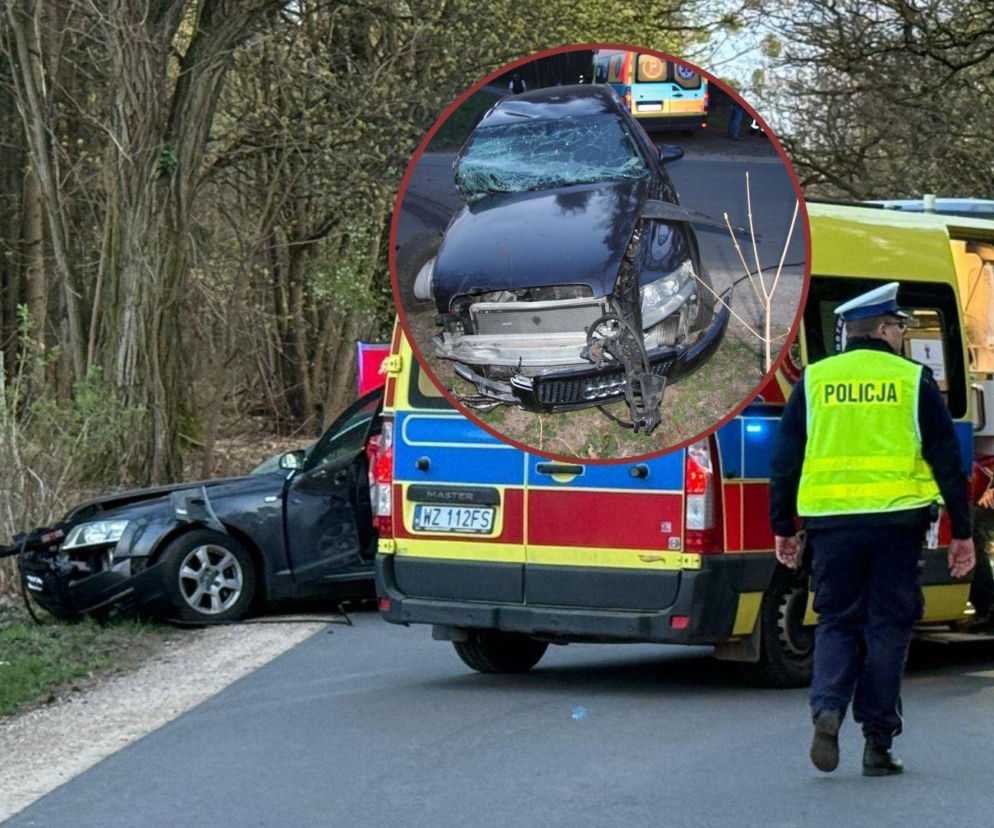 Młody Ukrainiec pruł czarnym Audi na złamanie karku. Roztrzaskał auto na drzewie. Jego pasażer nie przeżył