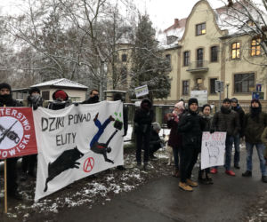 Solidarni z dzikami