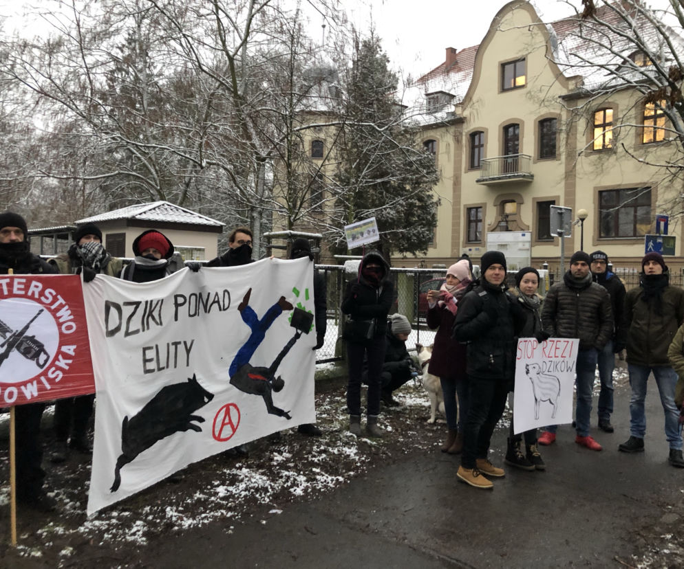 Solidarni z dzikami