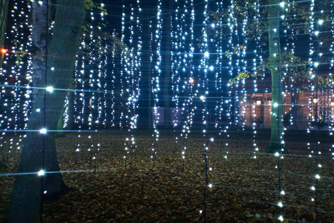 Garden of Lights w Szczecinie