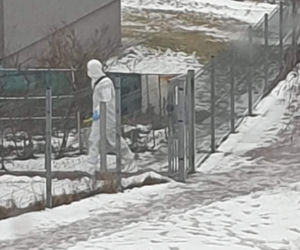Martwa kobieta w mieszkaniu, jej mąż wyskoczył z balkonu na oczach policji! Horror w Kielcach