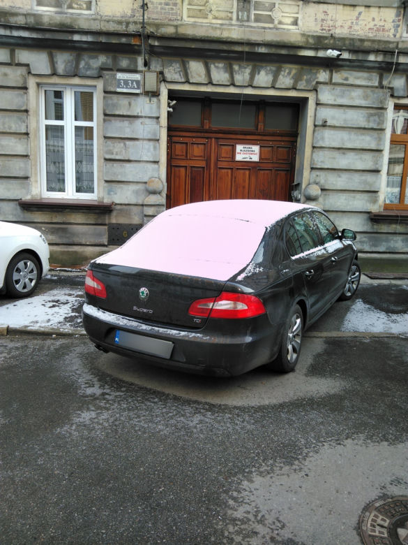 Tak się parkuje w Gliwicach. Straż Miejska opublikowała zdjęcia "Miszczów" z lutego [GALERIA]
