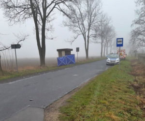 Śmiertelny wypadek w m. Zalesie