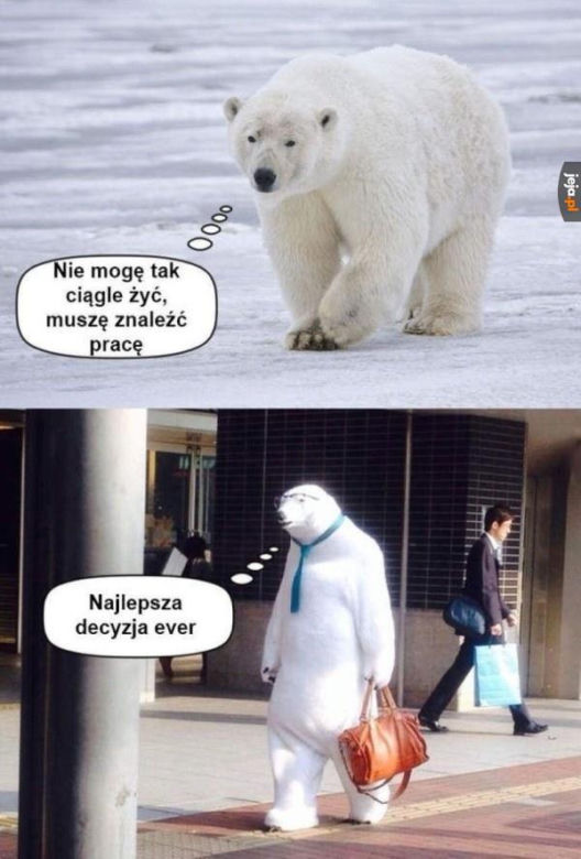 Najlepsze memy z białym misiem z Krupówek!