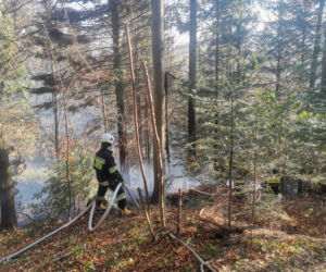 Wyrzucał popiół z kominka, ogniem zajął się hektar lasu w Baligrodzie [Zdjęcia]