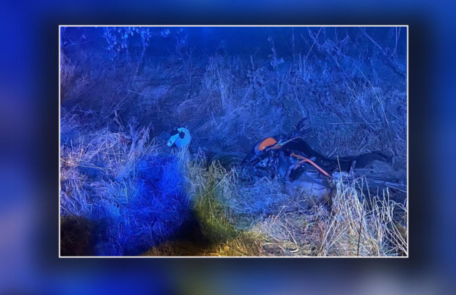 We mgle zobaczyli wystającą z rowu rękę. Chwile grozy na nocnej drodze!