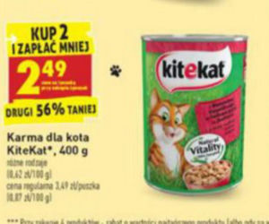 Szalone promocje na Dzień Kota w Biedronce