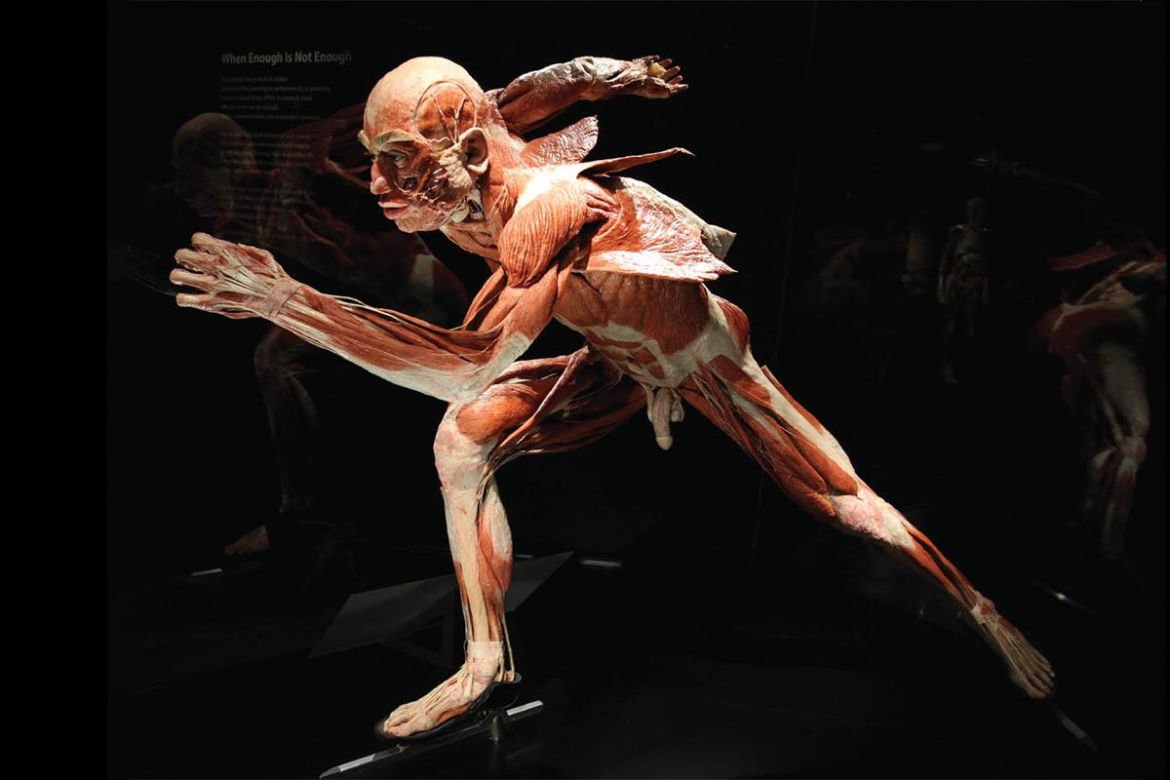Body Worlds