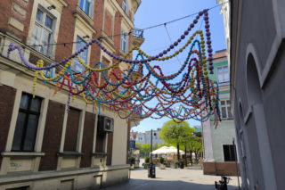 Nowe ozdoby na leszczyńskich ulicach. Wróblewskie w ferii barw.