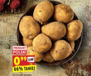 Wielkie promocje w Biedronce