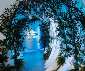 Wystawa Żywiec Zdrój 10 milionów drzew