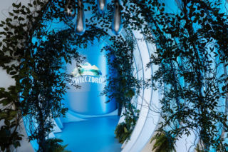 Wystawa Żywiec Zdrój 10 milionów drzew