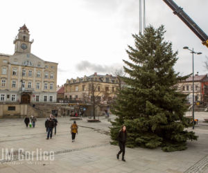 Gorlice: Na rynku już stoi choinka. Jest piękna. MUSISZ ją zobaczyć