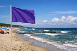 Można ją spotkać na plaży. Co oznacza fioletowa flaga na kąpieliskach?