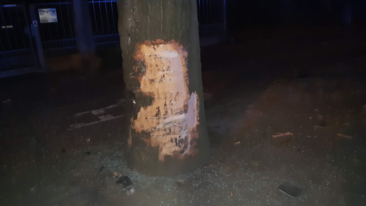 Zielona Góra. Pijany 17-latek zakleszczony w chryslerze! Jechał na samej feldze i bez świateł [ZDJĘCIA]
