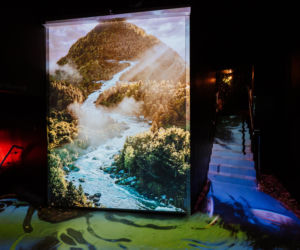 Wystawa Żywiec Zdrój 10 milionów drzew