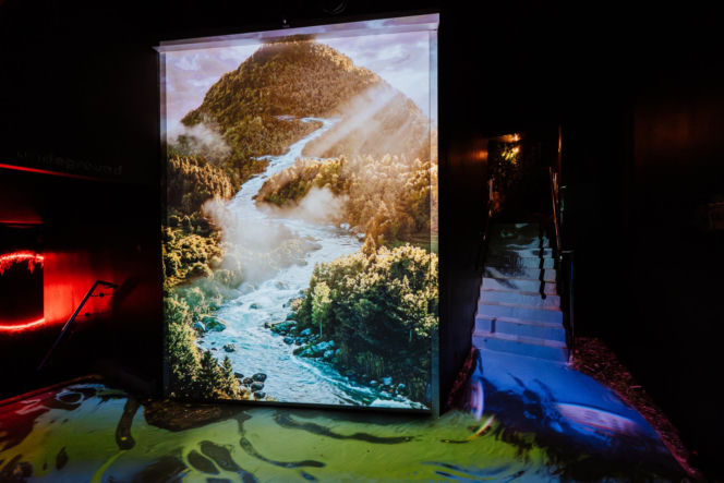 Wystawa Żywiec Zdrój 10 milionów drzew