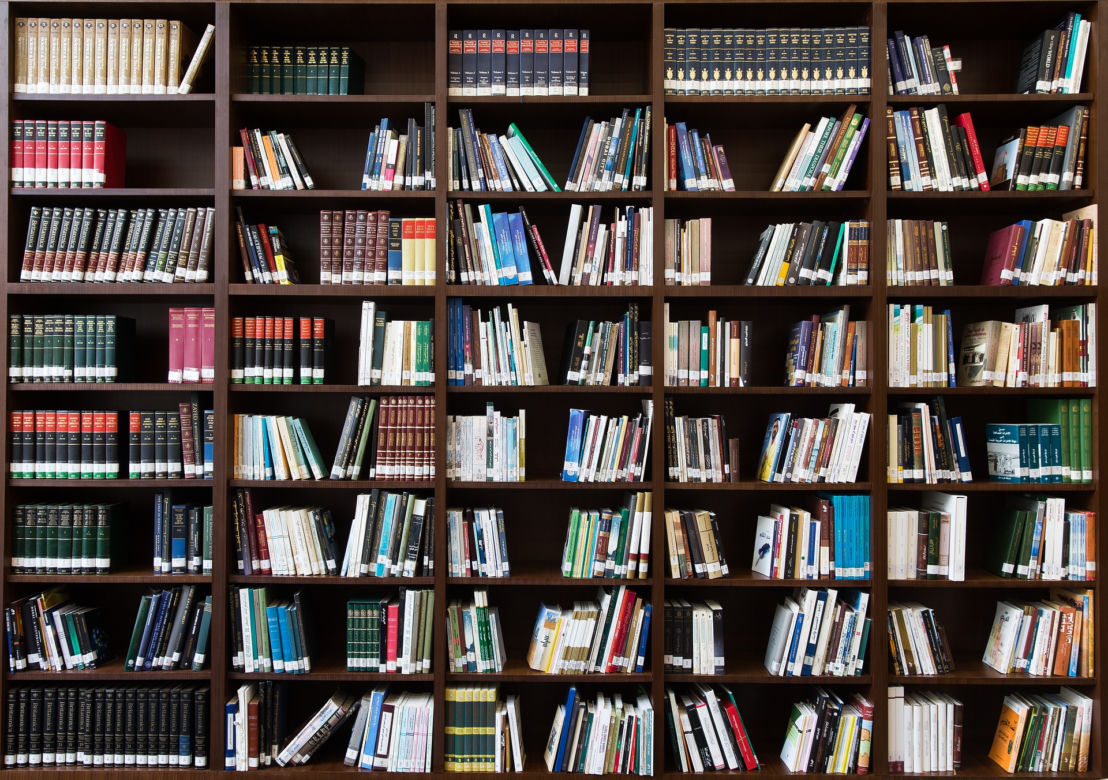 BIBLIOTEKARZ 