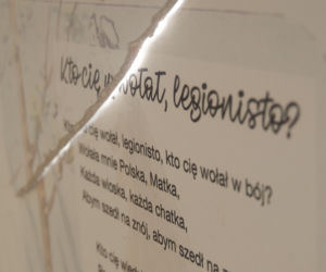 Mimo że Straż Miejska otrzymała 4 zgłoszenia o wandalizmów, nie udało się ustalić sprawców