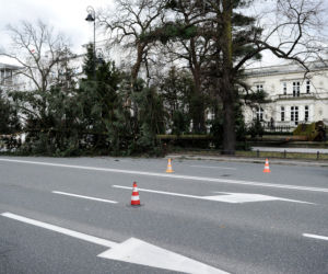 Warszawa: Al Ujazdowskie, potężne drzewo spadło na autobus i zablokowało ulicę