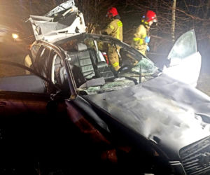 Groźny wypadek w Szymankach. Auto roztrzaskało się po zderzeniu z łosiem [ZDJĘCIA]