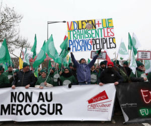 Wielkie protesty rolników w Europie! Zatrzymano Polaków