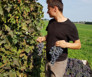Krzysztof Ciecióra, wiceminister rolnictwa. Uprawiam winnicę i rzepak