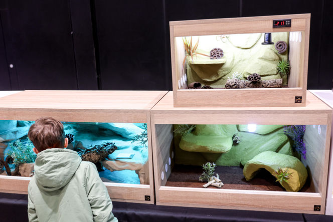 Targi egzotyki w Katowicach