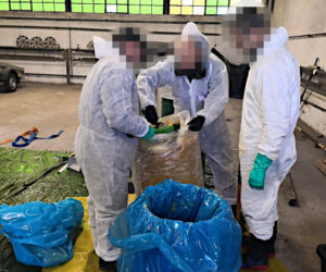Gigantyczny przemyt z Ekwadoru. Kokainę ukryli w pulpie ananasowej 