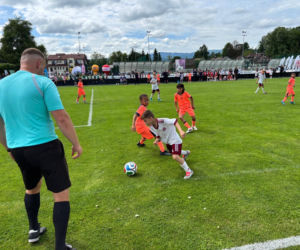 RemarLand Sokolik Cup 2026