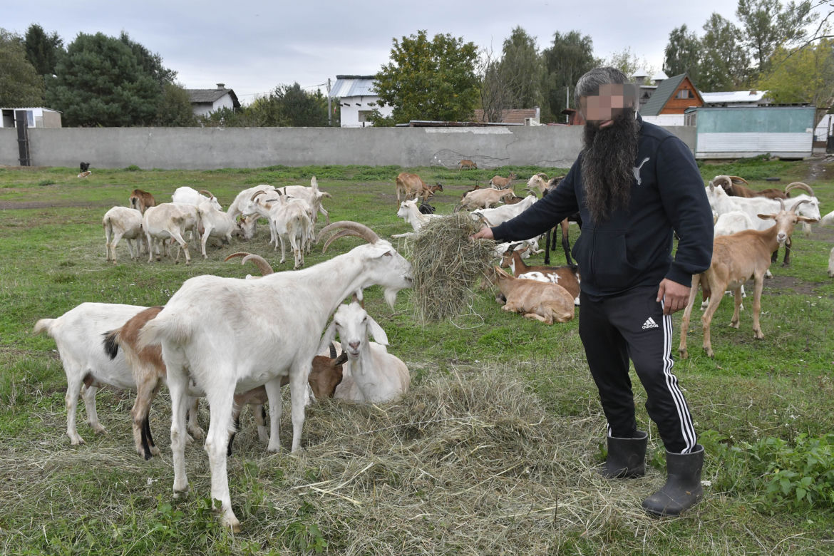 Pasterz z Otwocka głodził kozy Trzaskowskiego