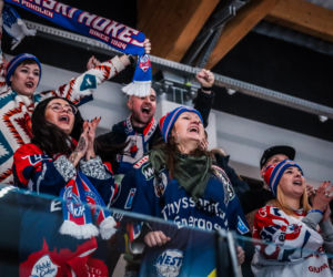GKS Katowice - KH Energa Toruń 4:5, zdjęcia z półfinału Pucharu Polski