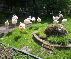 Krakowskie ZOO wznowiło działanie i zaprasza do odwiedzin