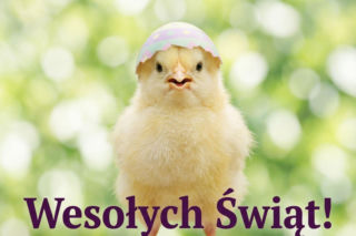 Życzenia wielkanocne 2026 gify. Ruchome obrazki do wysłania na Facebooku