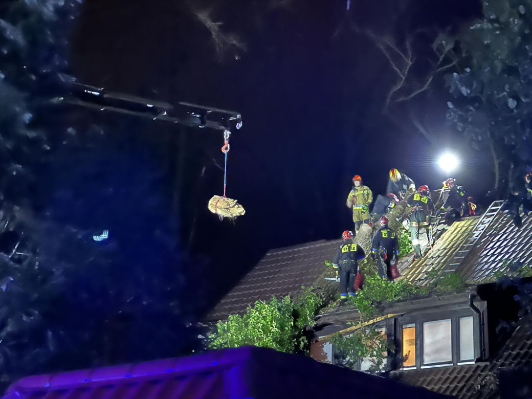 Gigantyczne drzewo runęło do dom jednorodzinny. Dramatyczna akcja ratunkowa w Warszawie