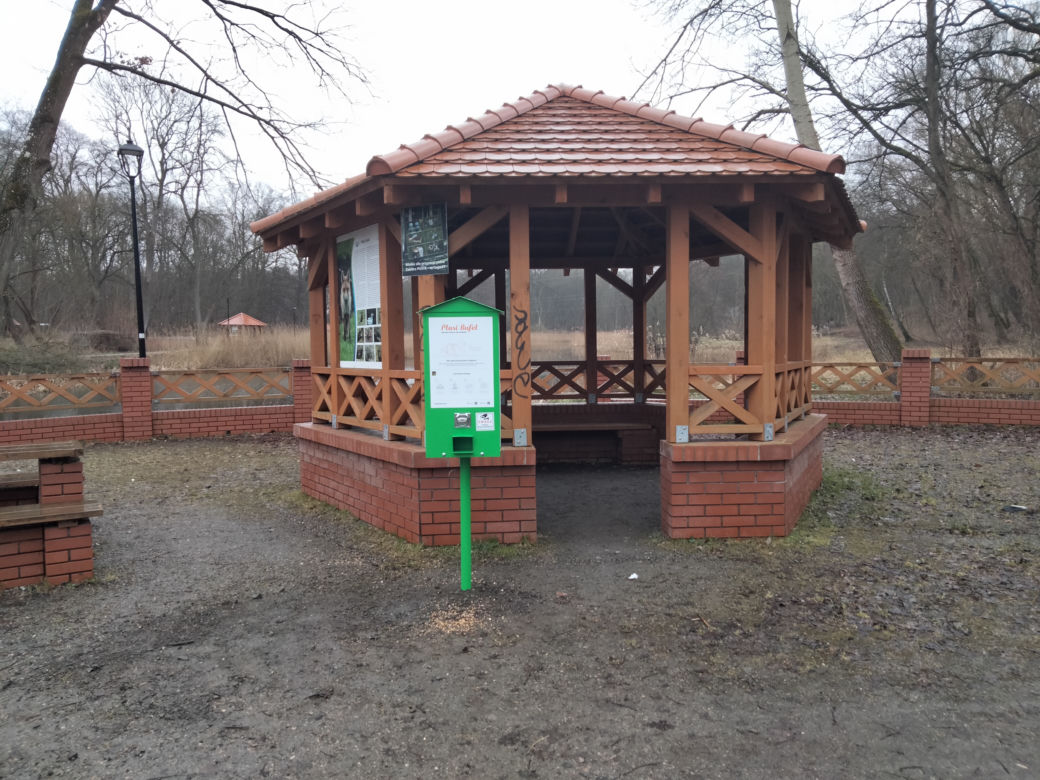 Pierwsze ptasie bufety stanęły w Szczecinie
